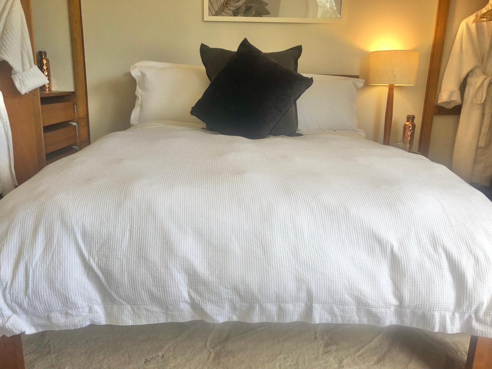 Lovely Budget Vegan Homestay Launceston Extérieur photo