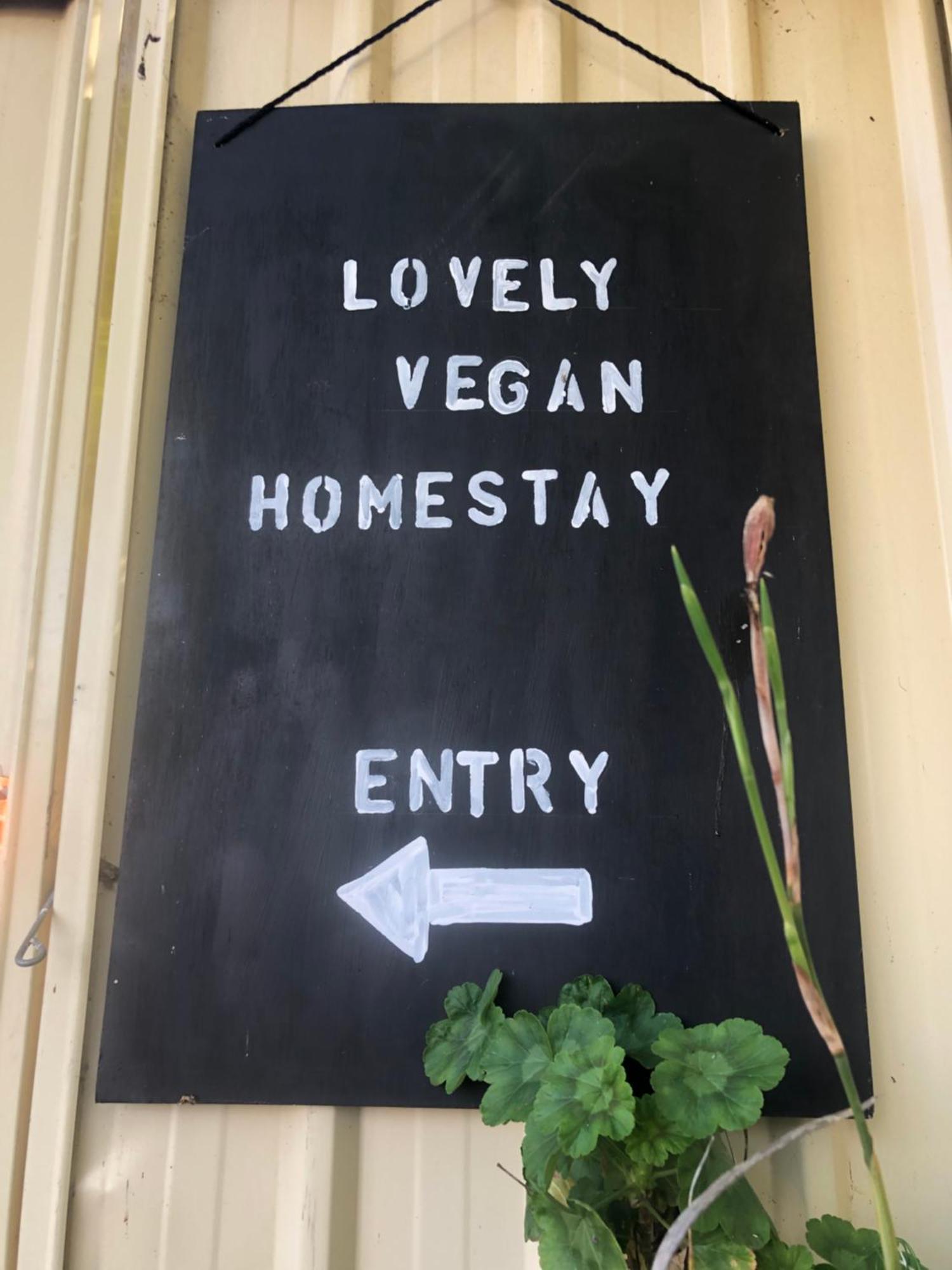 Lovely Budget Vegan Homestay Launceston Extérieur photo