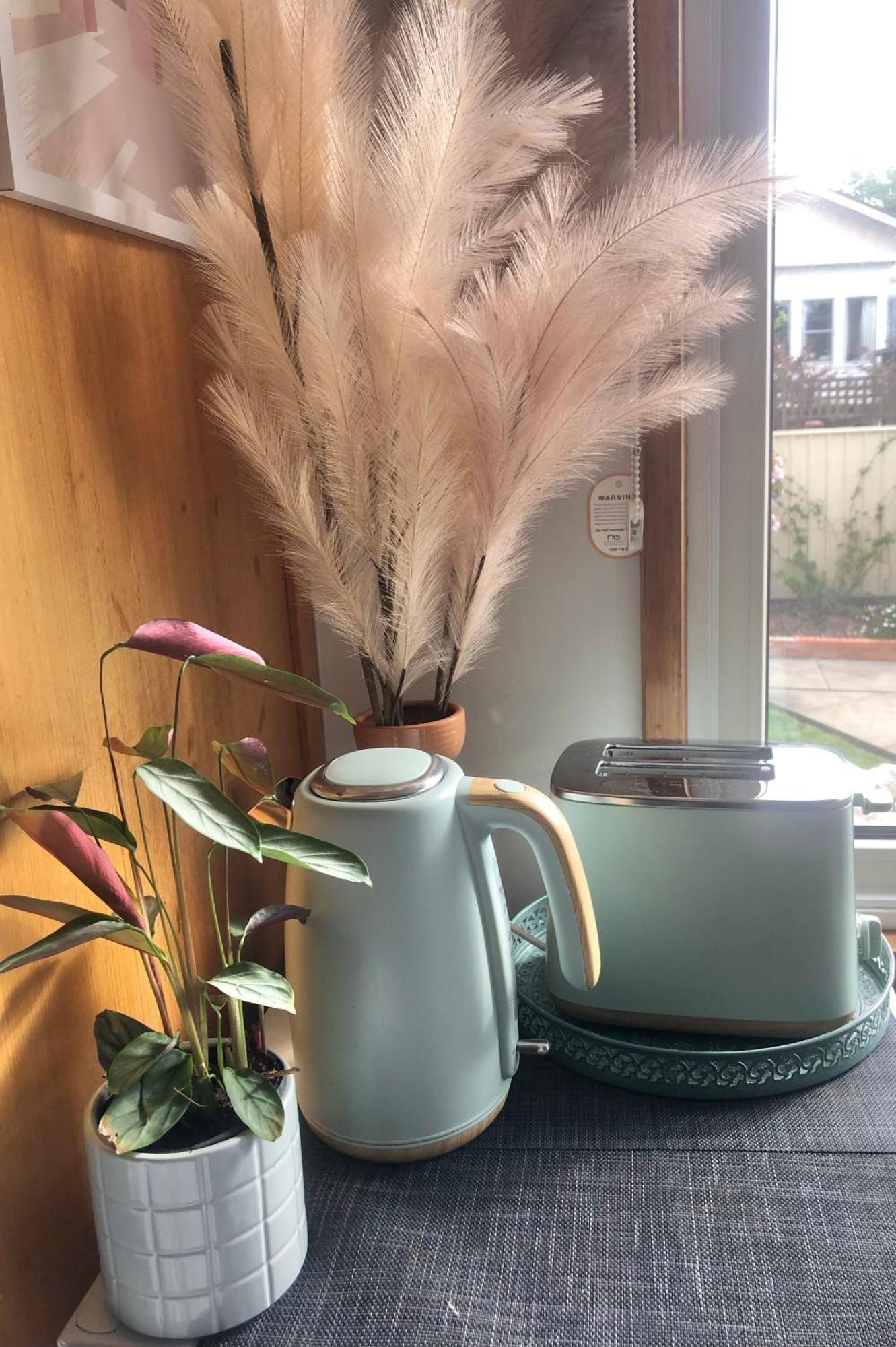 Lovely Budget Vegan Homestay Launceston Extérieur photo